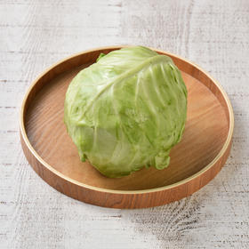 有机甘蓝 Organic Cabbage