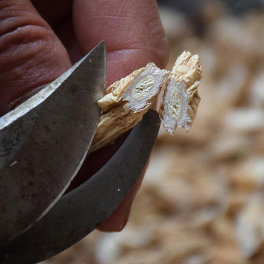 南太行之巅原生态·即食潞党参 地标产品 1颗好参 狮头凤尾 3年时间 30道工序 商品图2