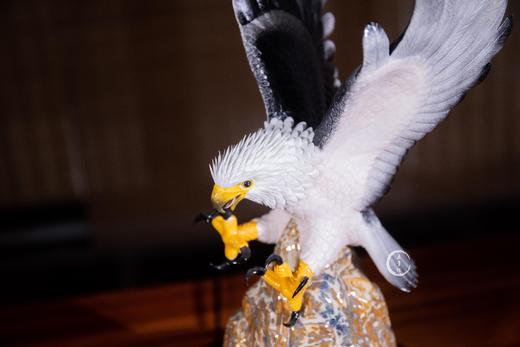 聂乐春：大鹏展翅 商品图2