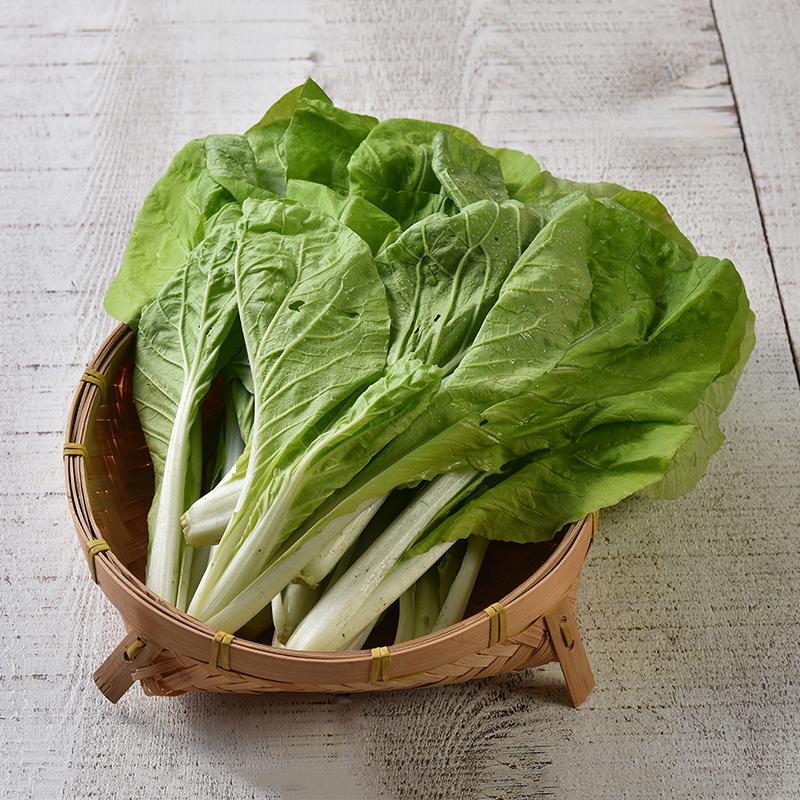 有机杭白菜 Organic Hangzhou Cabbage