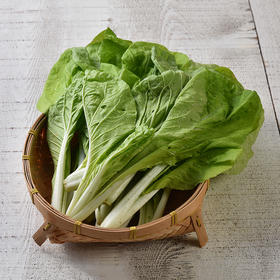 有机杭白菜 Organic Hangzhou Cabbage