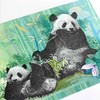 大熊猫走向世界150周年纪念券 双连体封装版 成都印钞发行 商品缩略图10