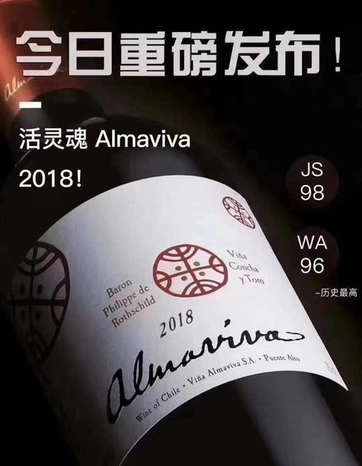 第63期丨智利酒王活灵魂2018干红葡萄酒 商品图0