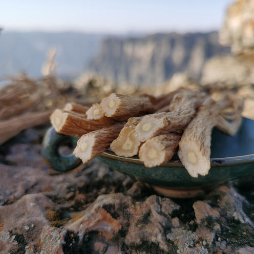南太行之巅原生态·潞党参原条 地标产品 1颗好参 狮头凤尾 3年时间 30道工序 商品图0