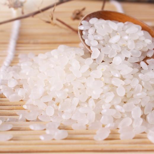 【煮粥有米油】阿福视界东北大米/粳米，东北寒地种植，晚季收割米粒饱满，2.5kg/袋 商品图4