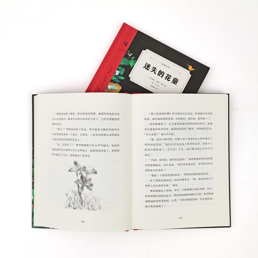 迷失的花童：奇想文库世界经典大奖系列图书 商品图3