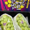 韩国🇰🇷晴王葡萄，超大颗粒甜度非常高的轻奢水果，自然成熟，果肉脆甜多汁，口感饱满独特 商品缩略图6