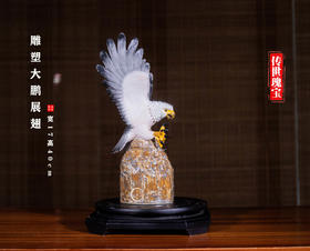 聂乐春：大鹏展翅