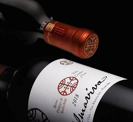 第63期丨智利酒王活灵魂2018干红葡萄酒 商品图1