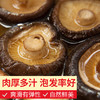 产地直发-鲜8秦岭香菇500g*1袋 商品缩略图1