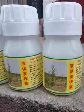 果树发枝素：梨树，樱桃，苹果等发枝专用发枝素！