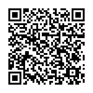 测试同城预售 商品图0