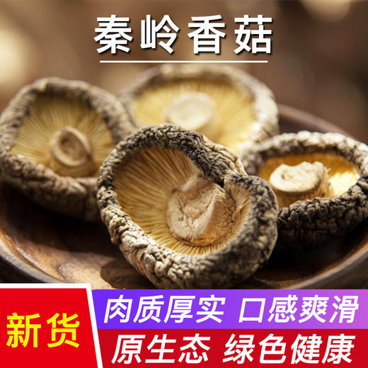 产地直发-鲜8秦岭香菇500g*1袋 商品图4