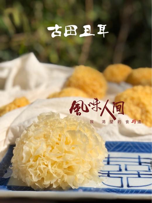 【甄客甄选】福建一级丑耳 商品图5