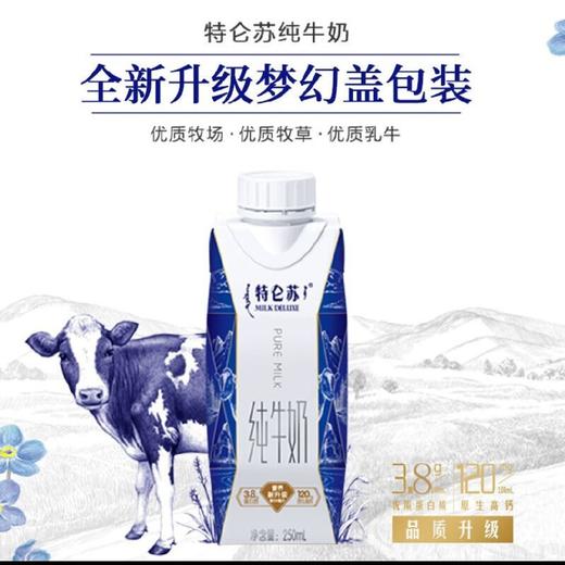 特仑苏纯牛奶梦幻盖250ml*10（仅供济南市区） 商品图1