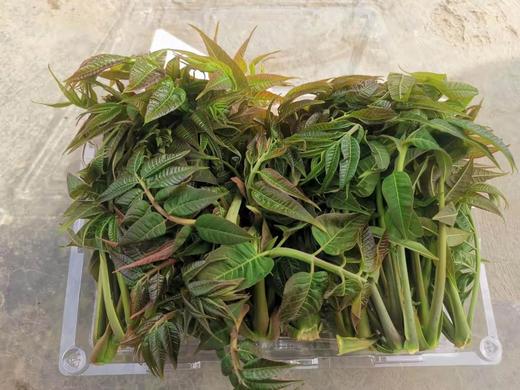 【生鲜预售】丹江蒿坪新鲜现采香椿150g 商品图2