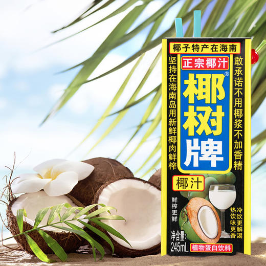 椰树牌 椰汁 245ml*24盒 饮料 饮品 植物蛋白 椰奶 椰树 椰子汁 包邮 商品图2