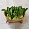 有机小青菜 Organic Bok Choy 250g 商品缩略图0