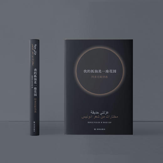 《我的孤独是一座花园：阿多尼斯诗选》 商品图3