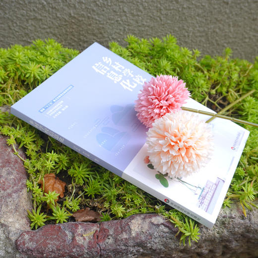 乡村学校信息化 乡村振兴中的学校发展乡村校长培训丛书 闫寒冰 李笑樱编著 正版 华东师范大学出版社 商品图2