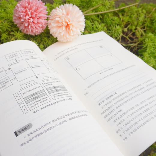 乡村学校信息化 乡村振兴中的学校发展乡村校长培训丛书 闫寒冰 李笑樱编著 正版 华东师范大学出版社 商品图3