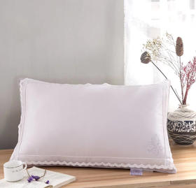 玻尿酸养颜枕（1只）