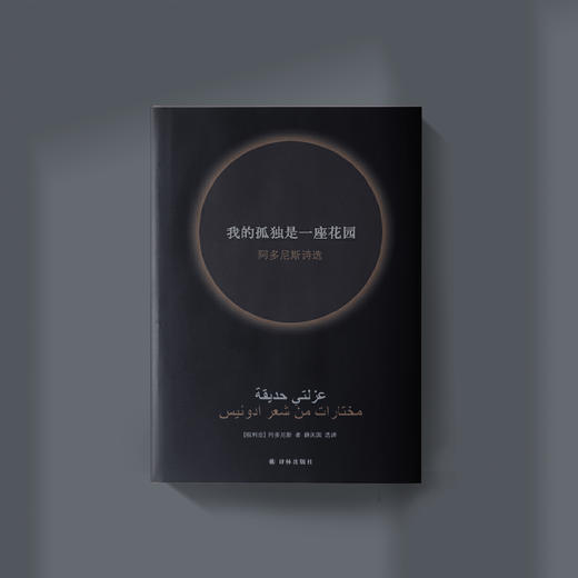 《我的孤独是一座花园：阿多尼斯诗选》 商品图2