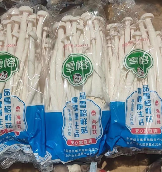 【9元2袋】袋白玉菇（1500526） 商品图0