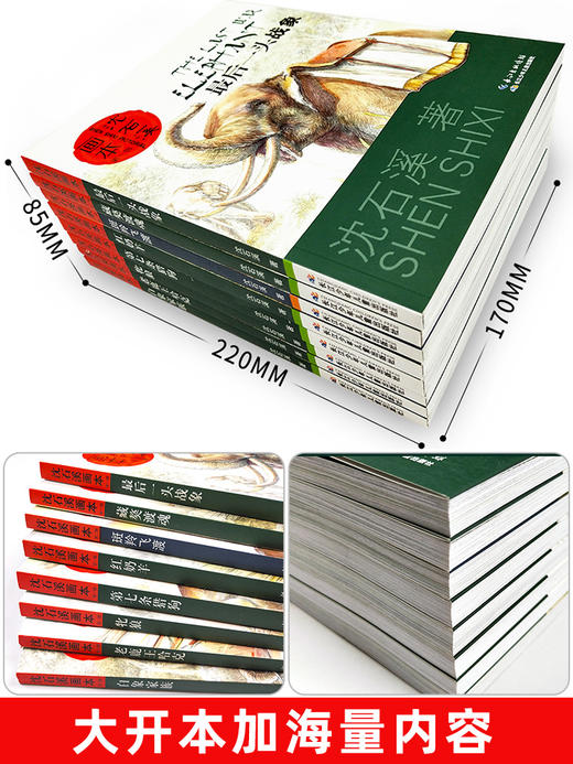 沈石溪动物小说全集正版套装画本第一辑8册的书大全系列儿童文学 后一头战象小学生四五六年级课外阅读书籍必读经典书目斑羚飞渡 商品图2