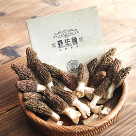 2025【春日菌味】大地物源精选鲜羊肚菌 顺丰空运 产地直发