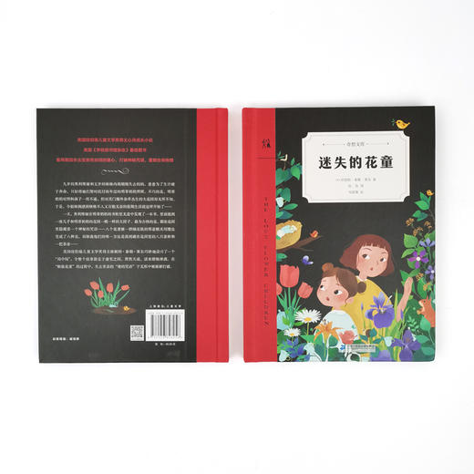 迷失的花童：奇想文库世界经典大奖系列图书 商品图5