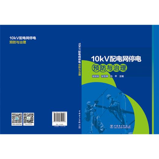 10kV配电网停电预防与治理 商品图2