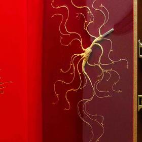 （作废）【产地直发】吉林长白山一等生晒野山参（全国包邮）偏远地区除外