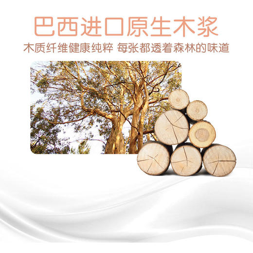 泰迪臻爱保湿柔巾纸 商品图2