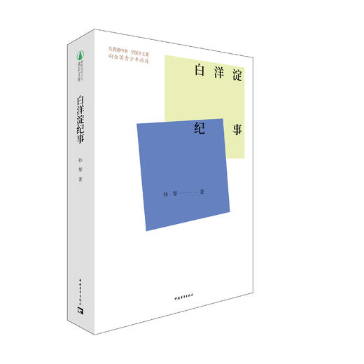 新时代青少年成长文库：白洋淀纪事 商品图0