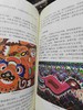 贵州民间艺术通论.刺绣卷 商品缩略图10