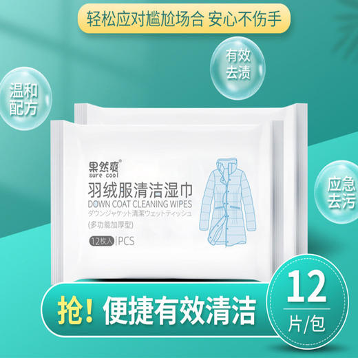 9.9抢！【 无需水洗，快速去渍 】便携羽绒服清洁湿巾，独立包装，不伤衣物，不留水渍，深沉去污，即擦即净 商品图0