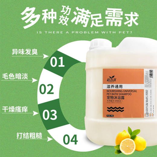 【送泵头】道力其20KG 大桶沐浴露宠物店专用 清洁去污效果好 商品图5