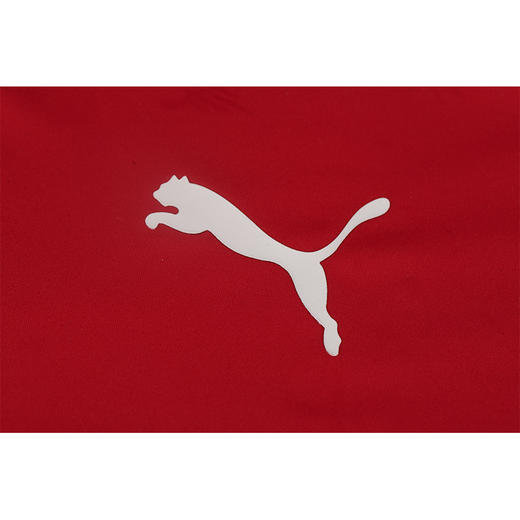 PUMA/彪马 AC米兰20-21赛季足球训练短袖75863201 商品图2