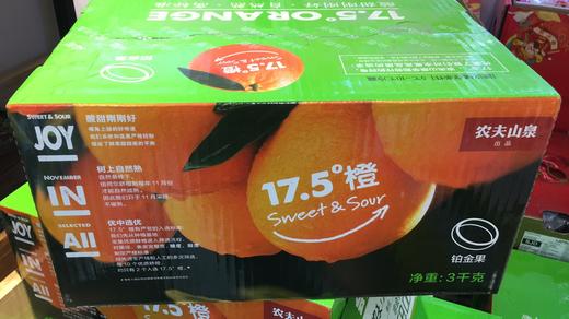 17.5橙子6斤装 商品图0