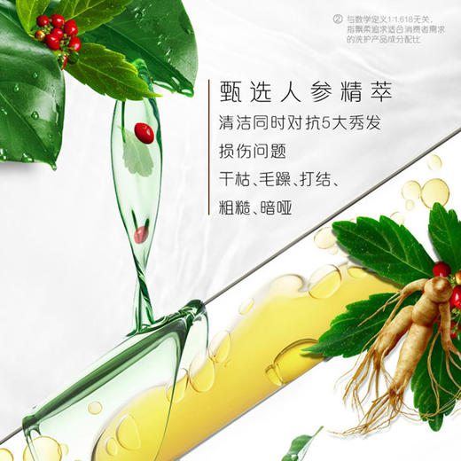 飘柔洗发水（人参滋养）400ml 商品图3