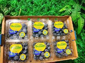 💝当季限量蓝莓王👑18+云南怡颗莓（Z甜口感，大颗粒）