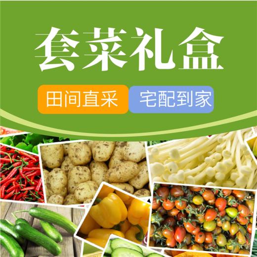 【绿色更健康】报盟严选 健康绿色蔬菜基地 5kg/箱 10种应季蔬菜（蔬菜需现摘 发货周期为三天） 商品图1