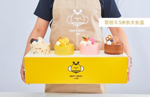 MiNi蛋糕&四小福（4个口味/套）会员券238元/套 商品图3