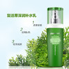 awen清新柔润补水乳(复活草)125ml 商品缩略图4