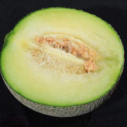 海南产区日本种源正版玫珑品牌软心瓜4-4.5斤装（吃前看详情） 商品图8
