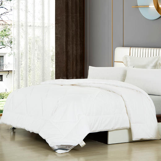 贵族真空纯蚕丝被 ANZB 商品图1