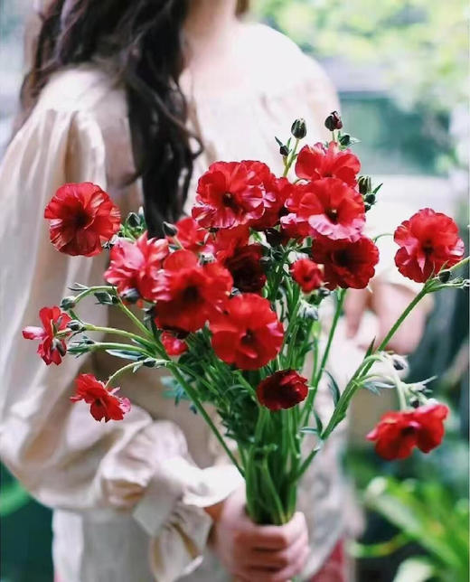 配花-蝴蝶洋牡丹-红色--5支 商品图0