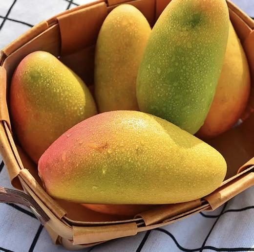 海南空运贵妃芒果  树上熟芒果  家庭装5斤 商品图2