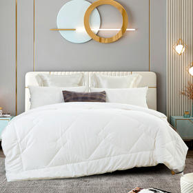 贵族真空纯蚕丝被 ANZB